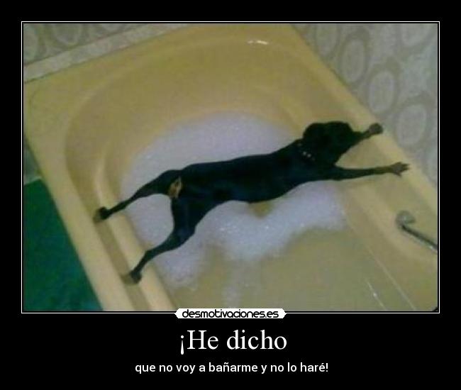 ¡He dicho - que no voy a bañarme y no lo haré!