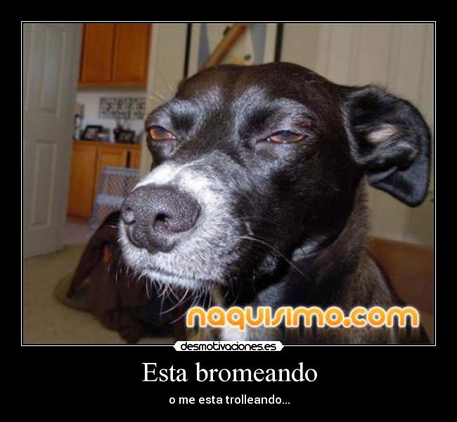 Esta bromeando - o me esta trolleando...