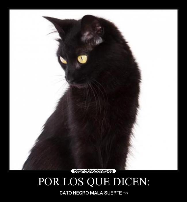 POR LOS QUE DICEN: -