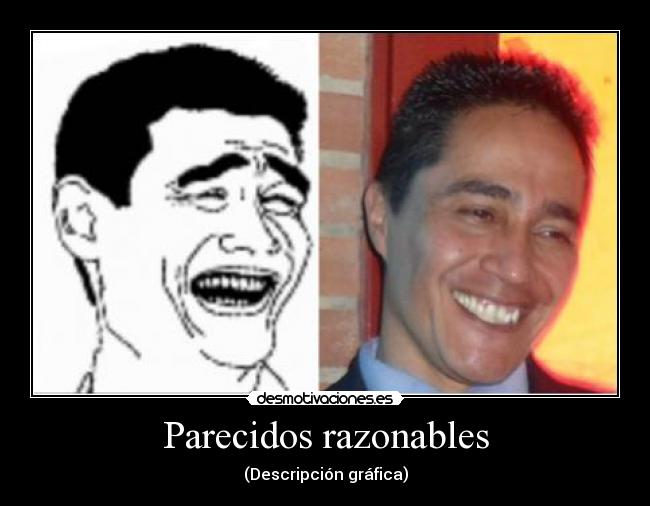 Parecidos razonables - (Descripción gráfica)