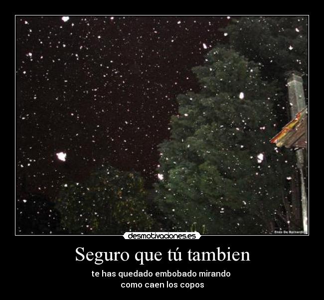 Seguro que tú tambien - 