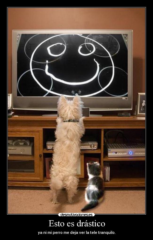 Esto es drástico - ya ni mi perro me deja ver la tele tranquilo.