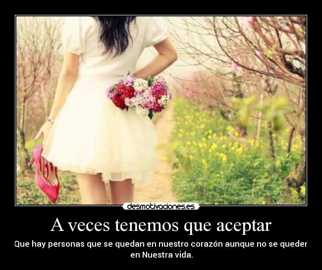 carteles veces tenemos que aceptar desmotivaciones