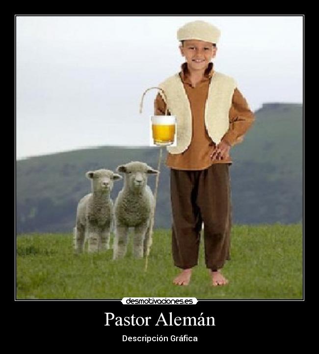 Pastor Alemán - Descripción Gráfica