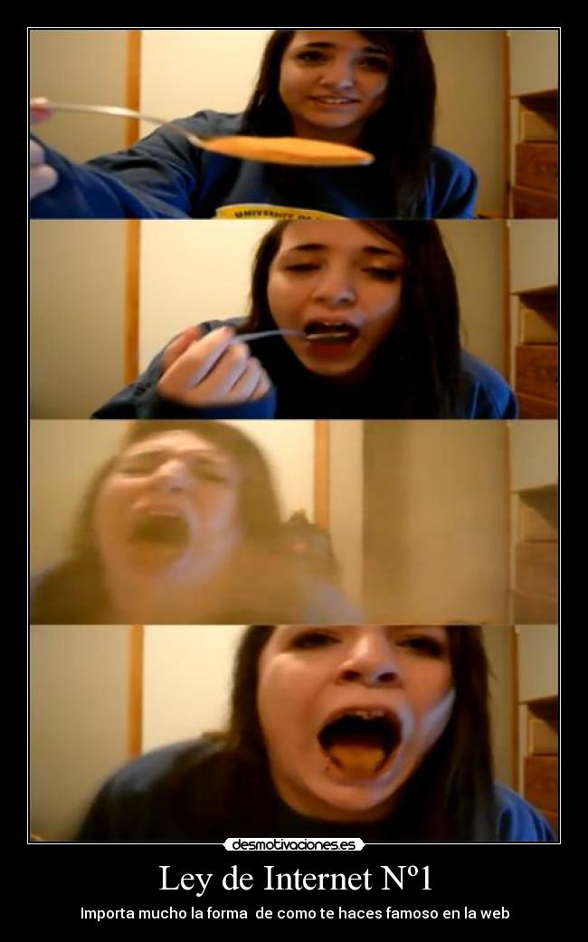 Ley de Internet Nº1 - 