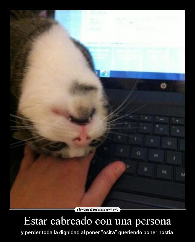 Estar cabreado con una persona - y perder toda la dignidad al poner osita queriendo poner hostia.
