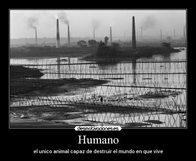 Humano - el unico animal capaz de destruir el mundo en que vive