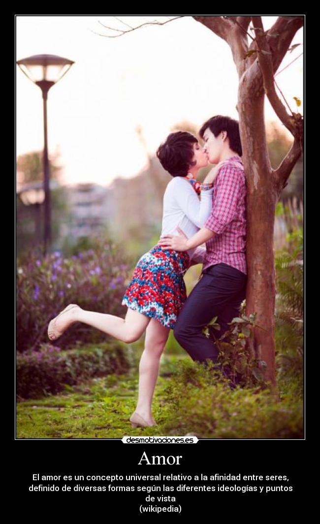 Amor - El amor es un concepto universal relativo a la afinidad entre seres,
definido de diversas formas según las diferentes ideologías y puntos
de vista
(wikipedia)
