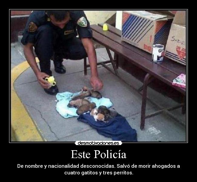 Este Policía -