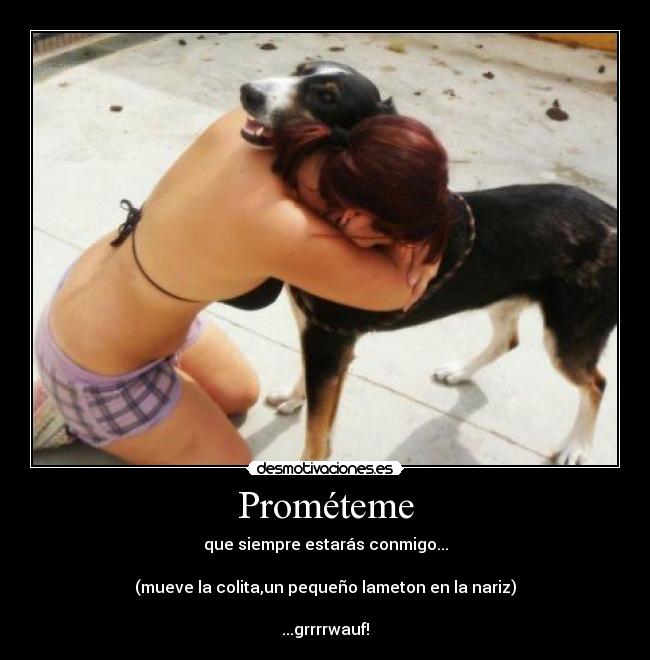 Prométeme - que siempre estarás conmigo...
(mueve la colita,un pequeño lameton en la nariz)
...grrrrwauf!