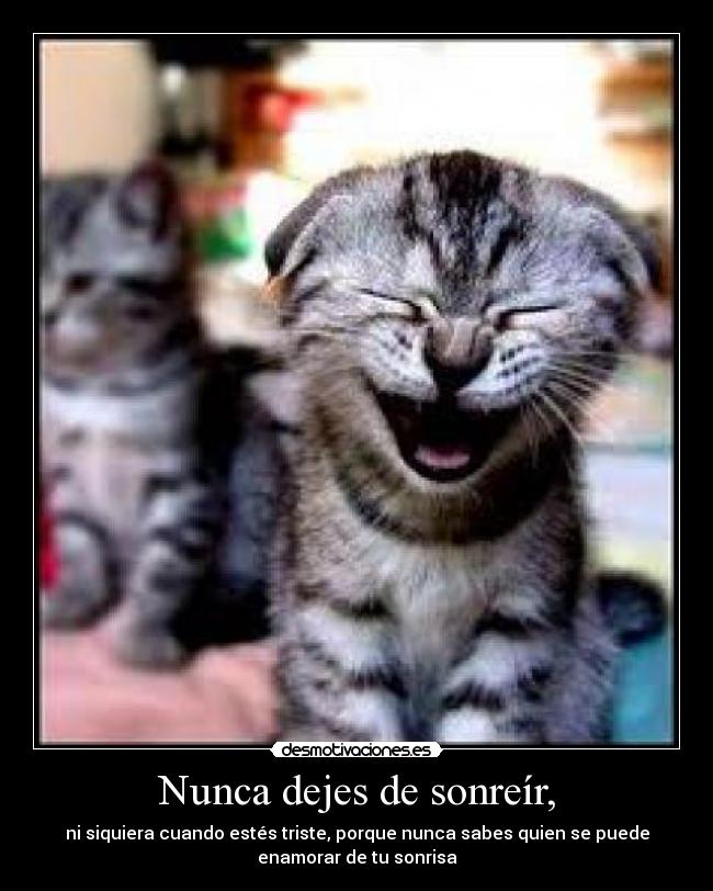 Nunca dejes de sonreír, - 