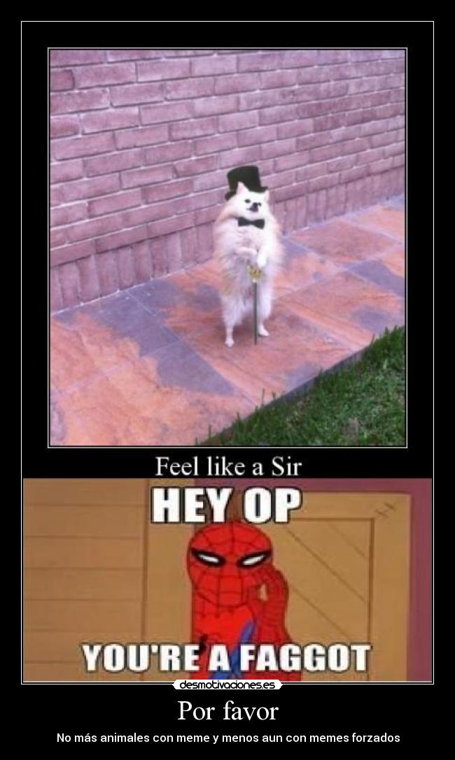 Por favor - No más animales con meme y menos aun con memes forzados