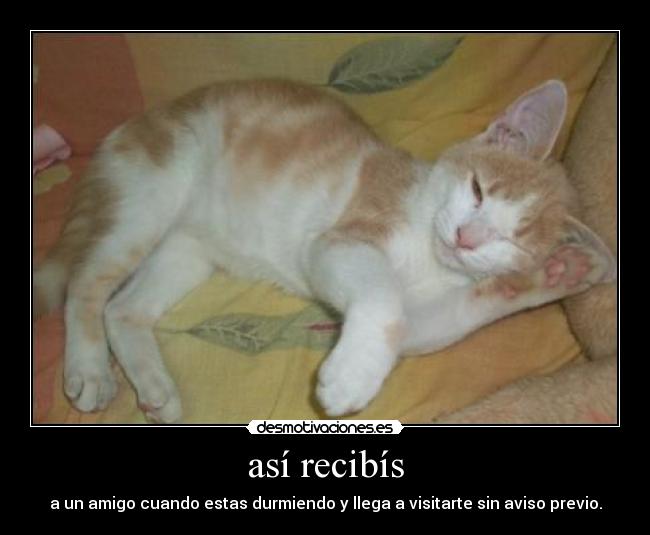 así recibís - a un amigo cuando estas durmiendo y llega a visitarte sin aviso previo.