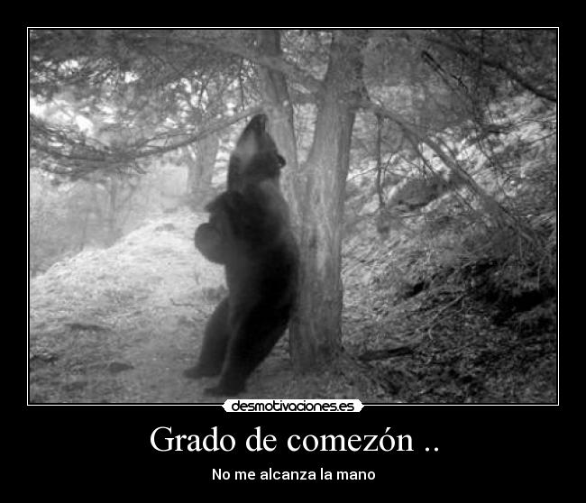 Grado de comezón .. -