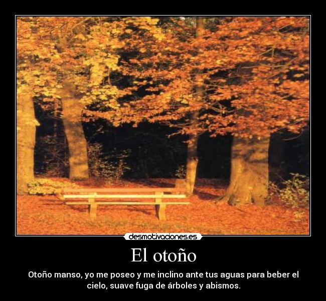 El otoño - Otoño manso, yo me poseo y me inclino ante tus aguas para beber el
cielo, suave fuga de árboles y abismos.