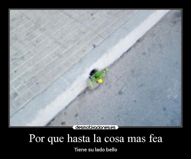 Por que hasta la cosa mas fea -