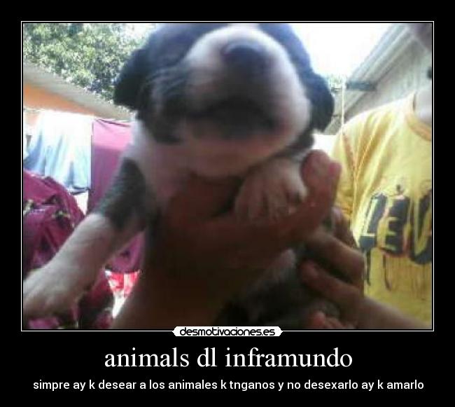 animals dl inframundo - 