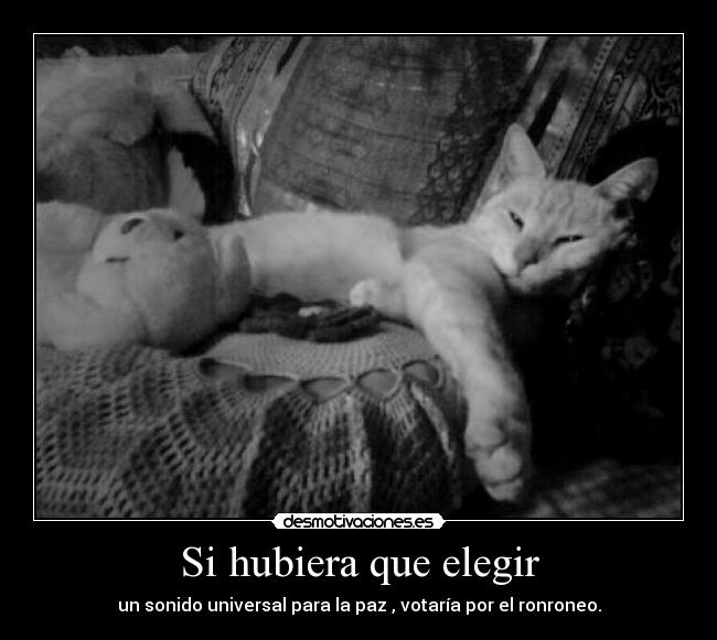 Si hubiera que elegir -