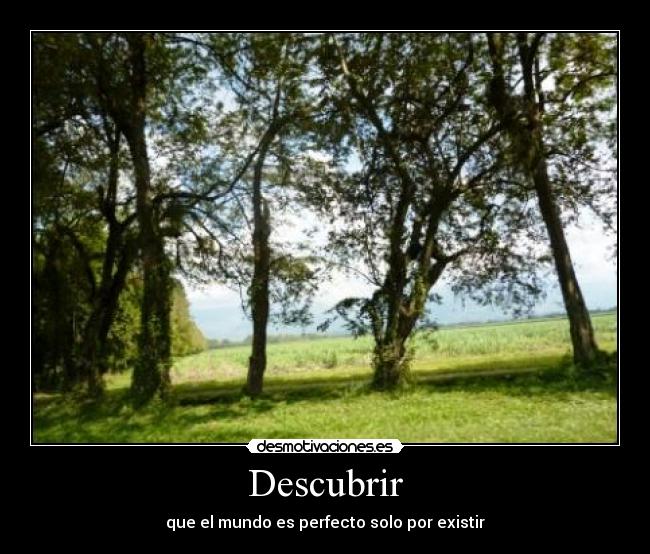 Descubrir -