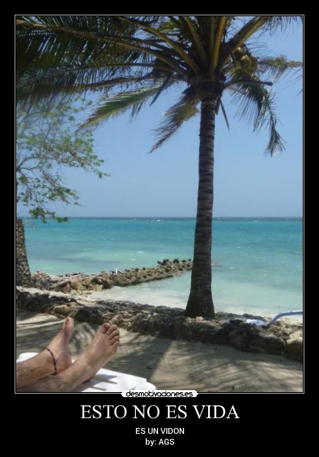 carteles vida sandrita827 desmotivaciones