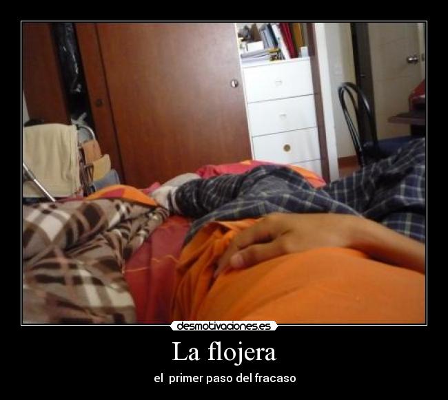 La flojera -