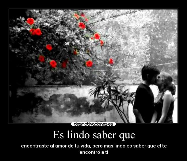 carteles amor vida beso desmotivaciones