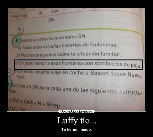 Luffy tío... -