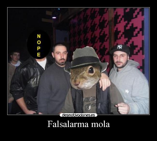 carteles las ardillas molan desmotivaciones