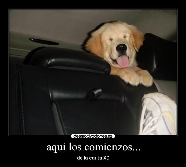 carteles romina mattioli desmotivaciones