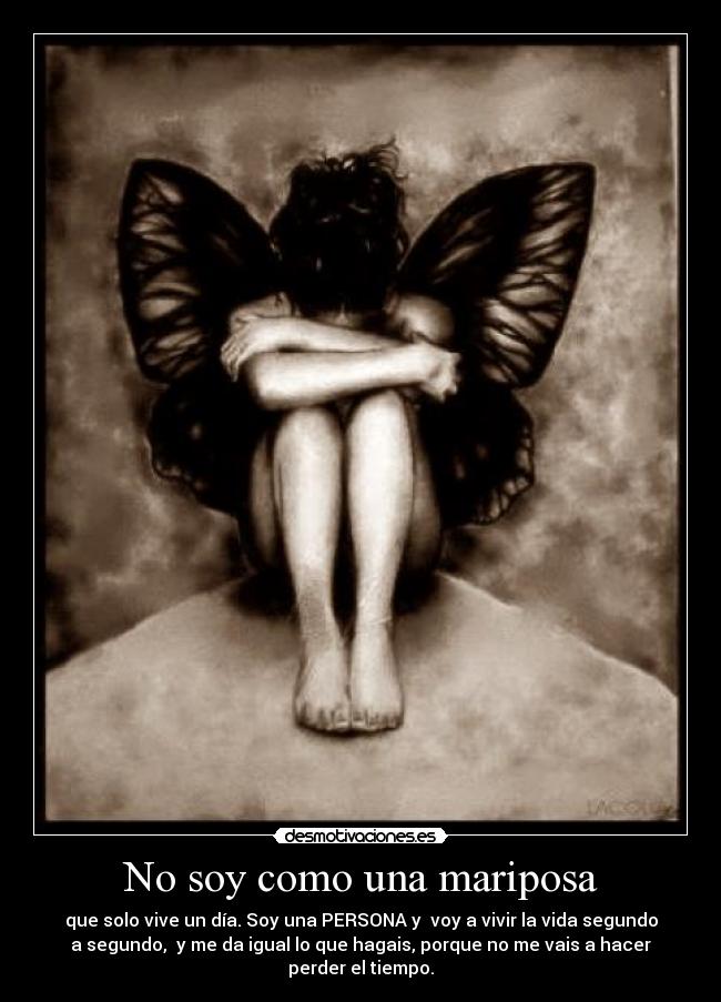 No soy como una mariposa - 