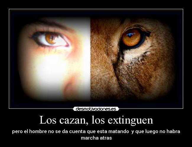 carteles desmotivaciones desmotivaciones