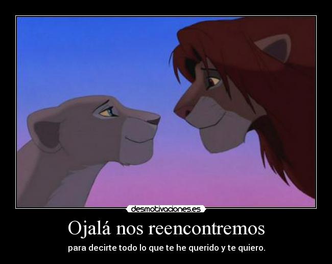 Ojalá nos reencontremos -