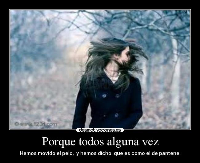 Porque todos alguna vez - Hemos movido el pelo, y hemos dicho que es como el de pantene.