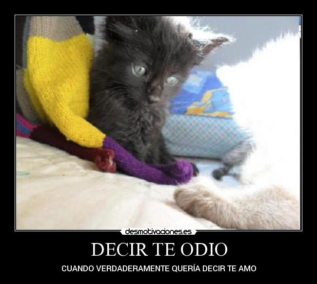 DECIR TE ODIO -