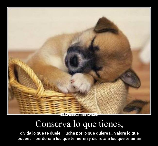 Conserva lo que tienes, - olvida lo que te duele... lucha por lo que quieres... valora lo que
posees....perdona a los que te hieren y disfruta a los que te aman
