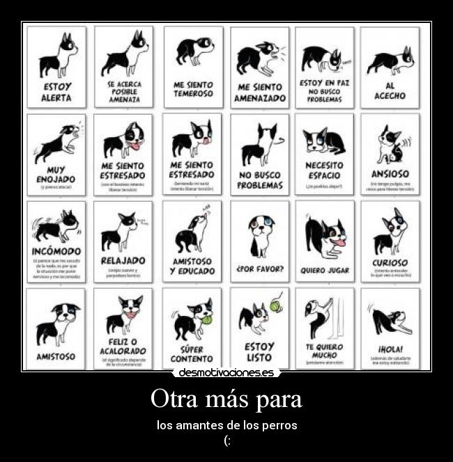 carteles perros desmotivaciones