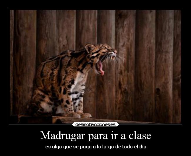 Madrugar para ir a clase - 