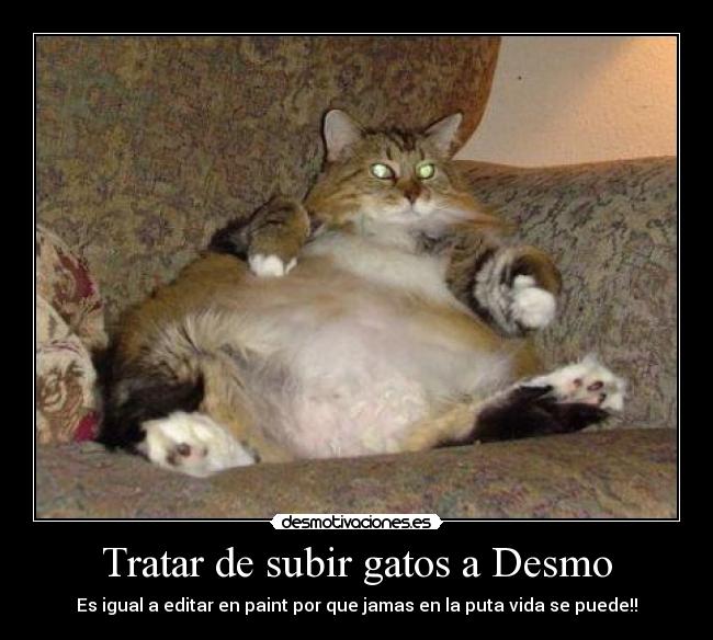 Tratar de subir gatos a Desmo - Es igual a editar en paint por que jamas en la puta vida se puede!!