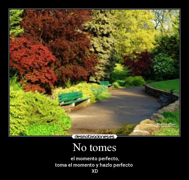 No tomes - el momento perfecto,
toma el momento y hazlo perfecto 
XD