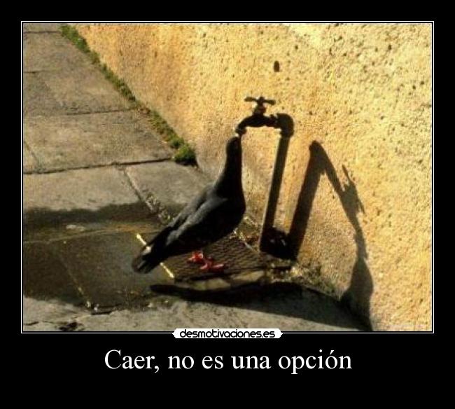 Caer, no es una opción - 