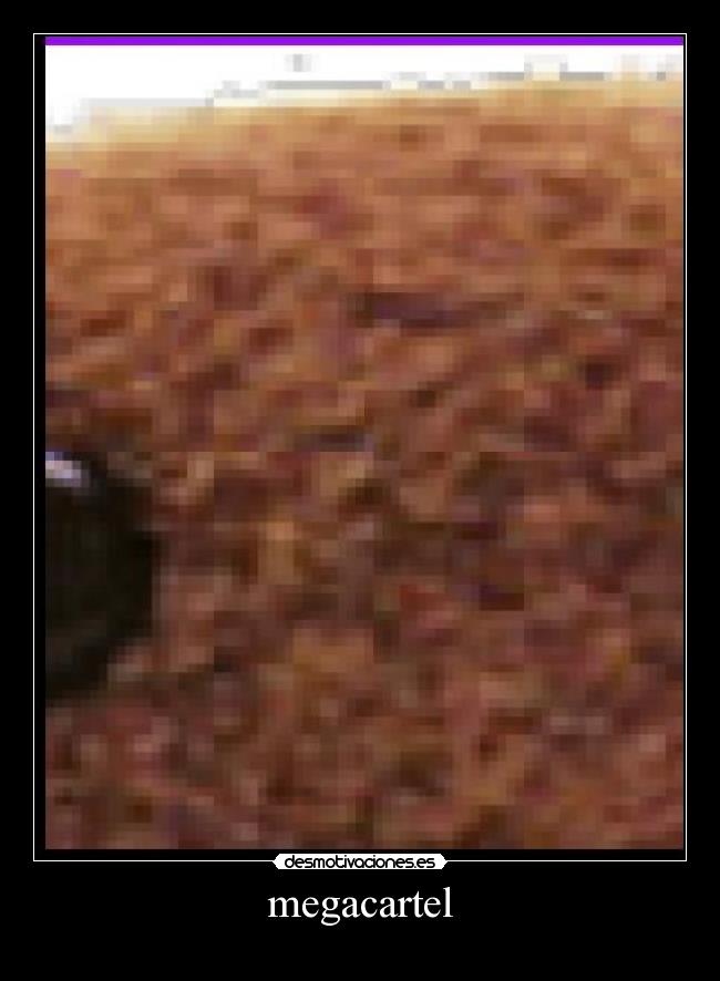 carteles megacartel desmotivaciones