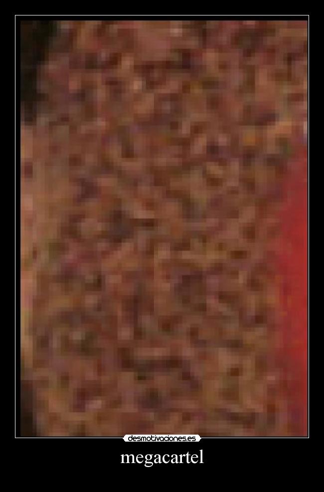 megacartel -