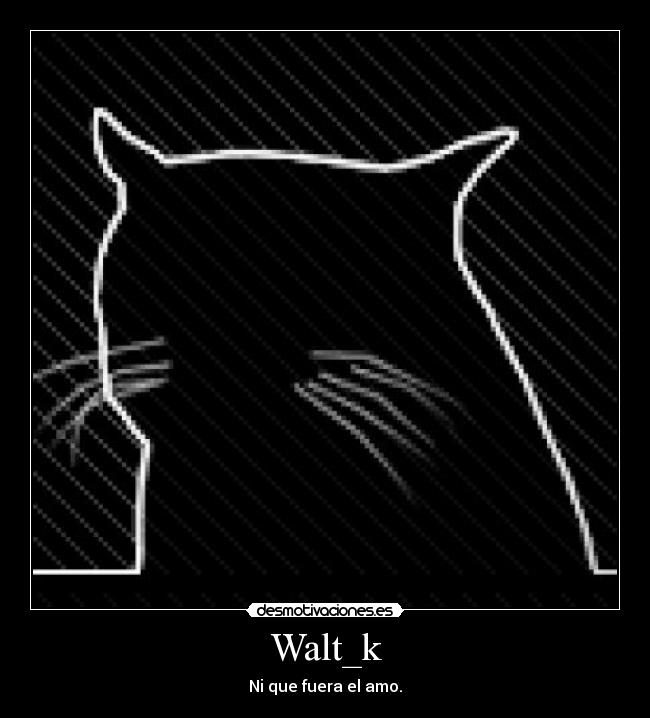 Walt_k - Ni que fuera el amo.