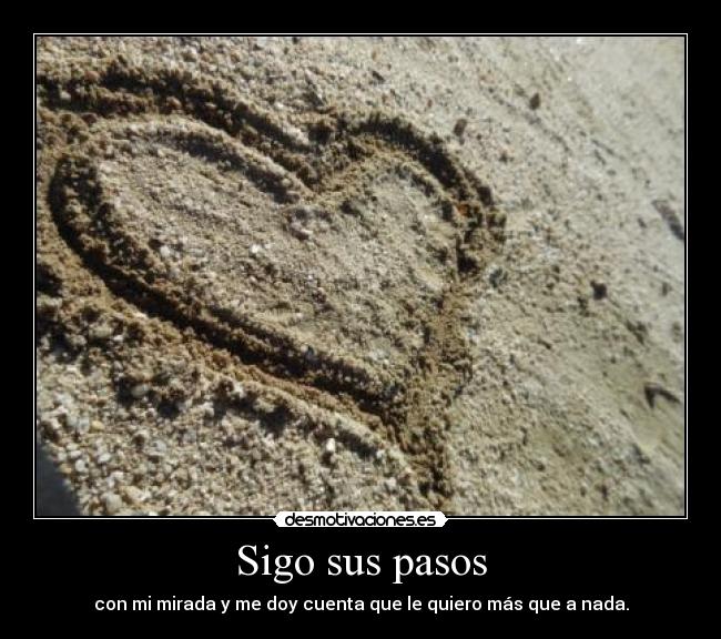 Sigo sus pasos - 