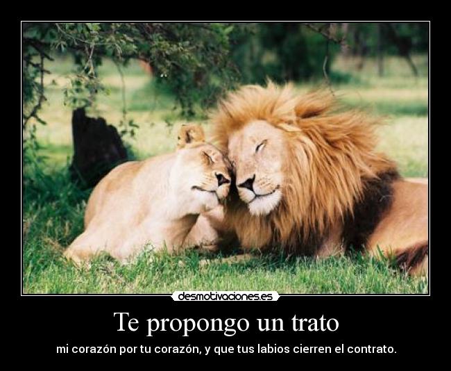 Te propongo un trato - 