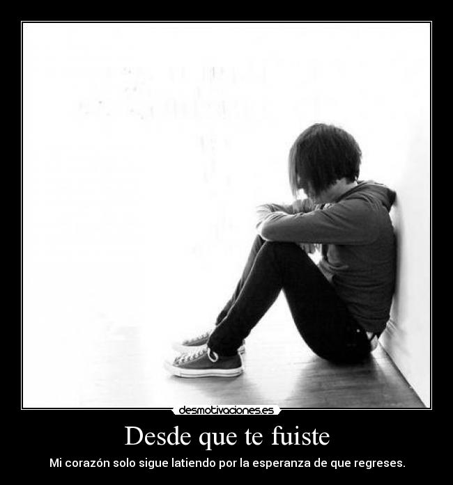 Desde que te fuiste -