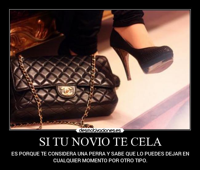 SI TU NOVIO TE CELA - ES PORQUE TE CONSIDERA UNA PERRA Y SABE QUE LO PUEDES DEJAR EN
CUALQUIER MOMENTO POR OTRO TIPO.