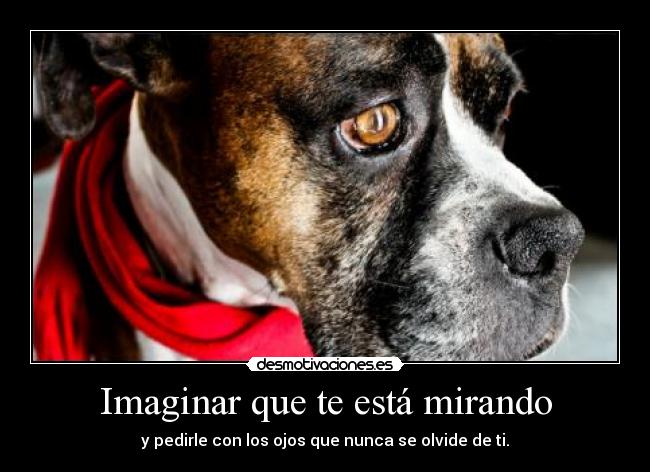 Imaginar que te está mirando - 