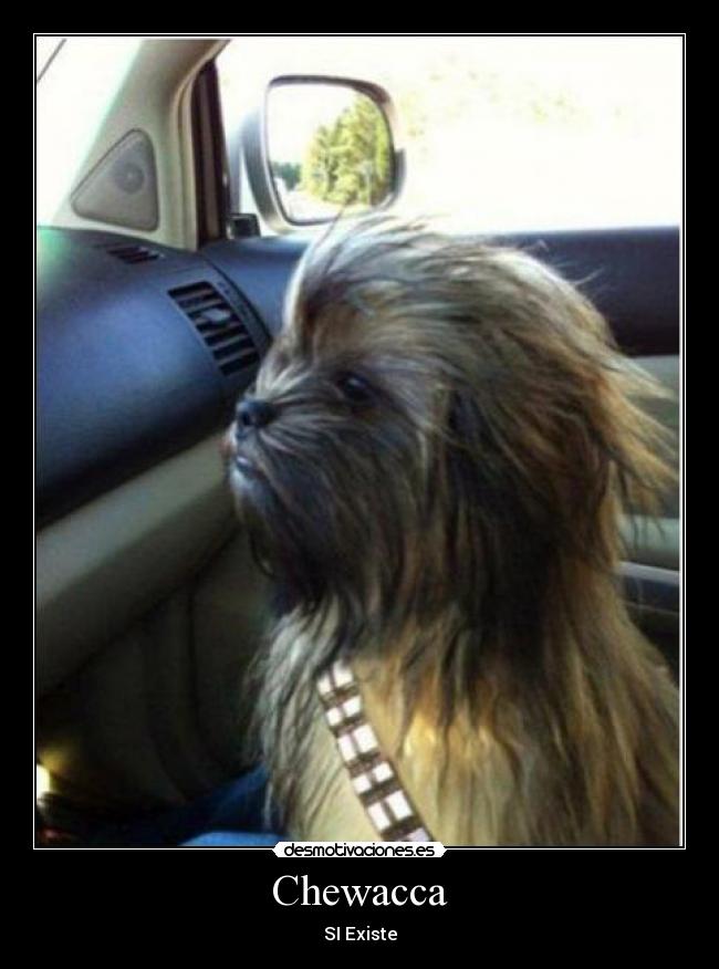 Chewacca - 