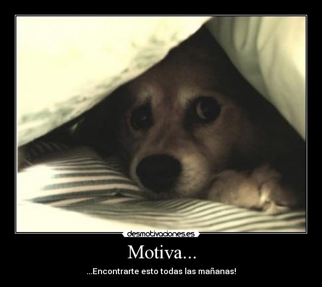 Motiva... -